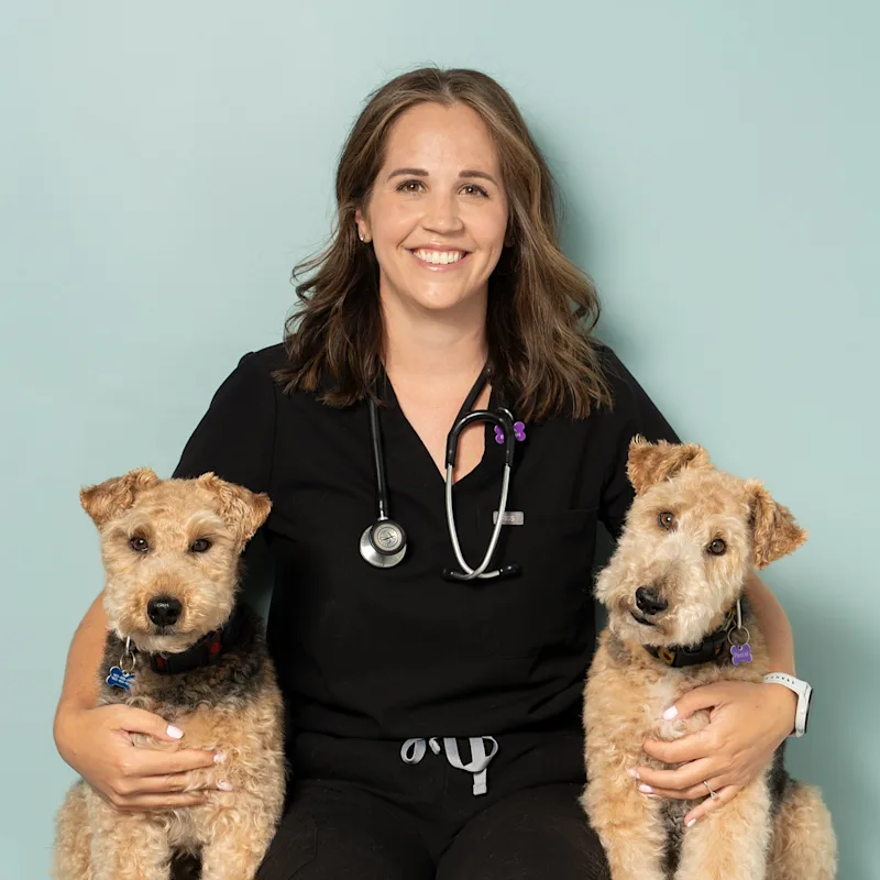 Dr. Emma Jessiman Dr. Emma Jessiman
