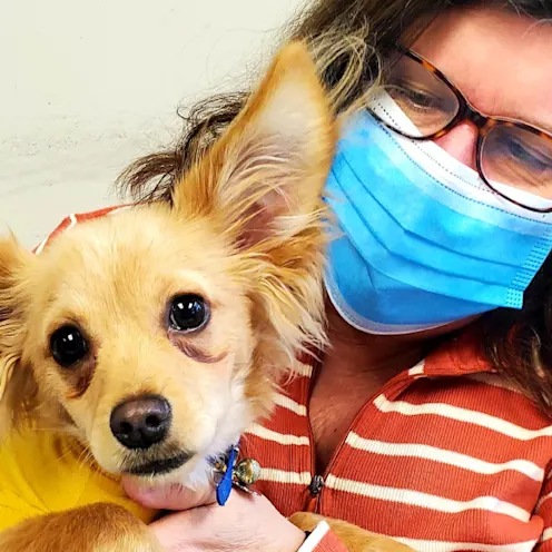 Karen holding a small tan dog named Kato Karen holding a small tan dog named Kato