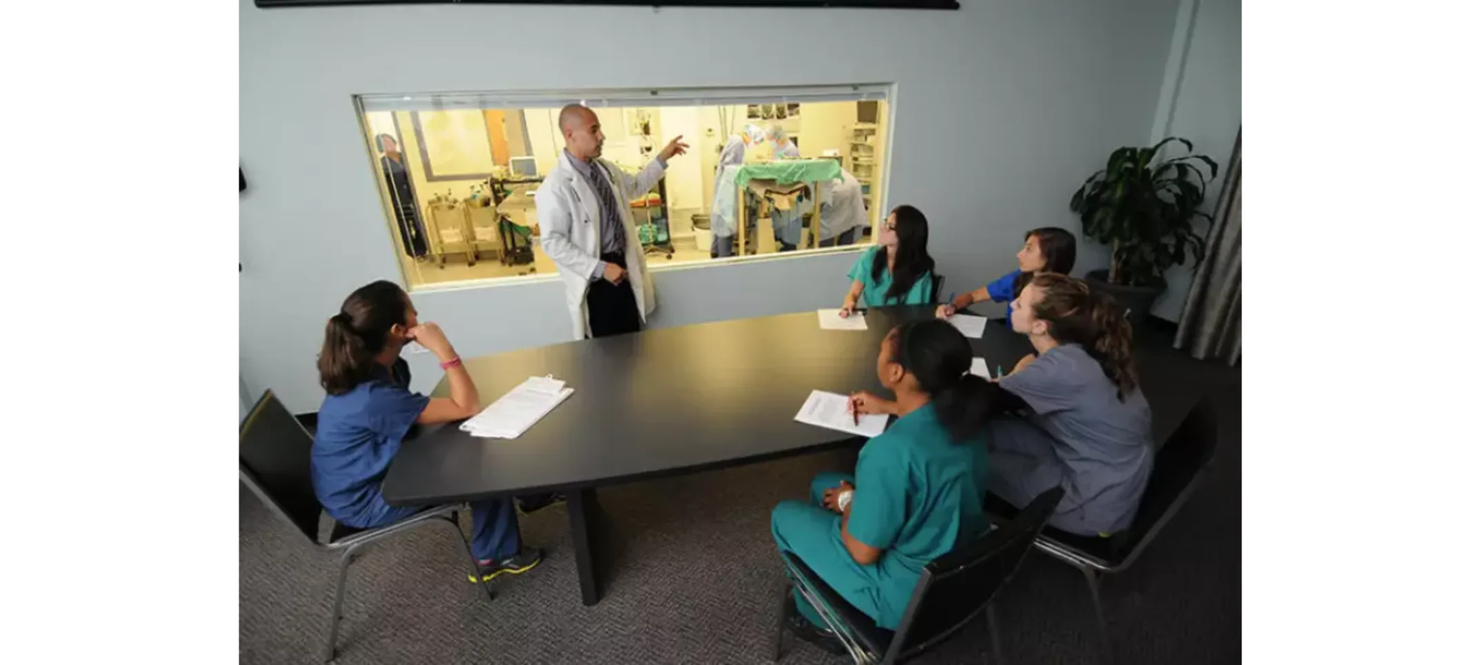 Veterinary Education Group of young veterinary professionals examining a procedure through a window