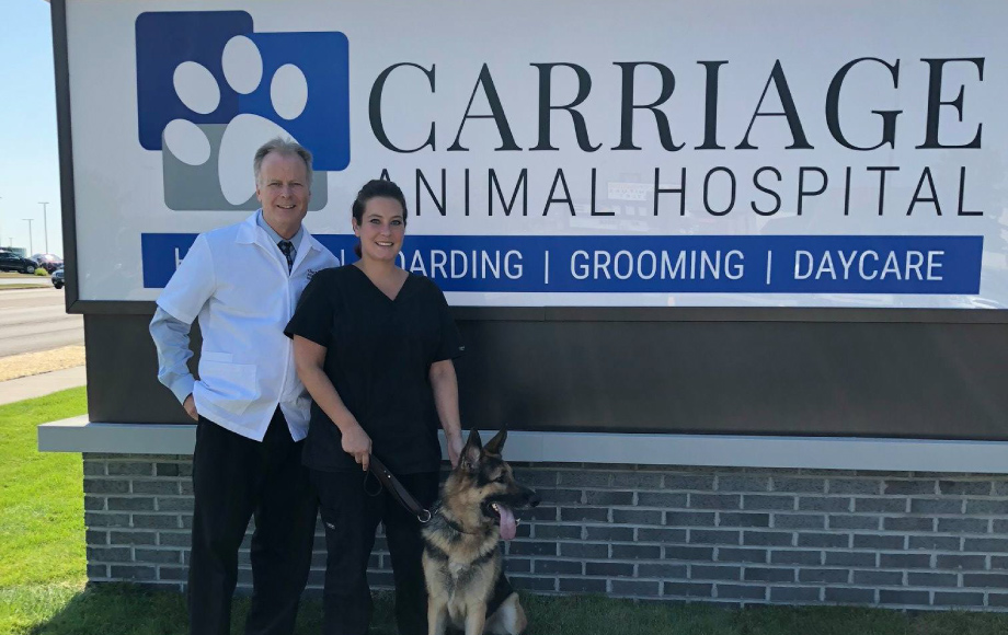 Veterinary Care in Lombard, IL | Carriage Animal Hospital