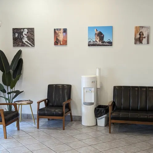 River Road Pet Clinic Waiting Area