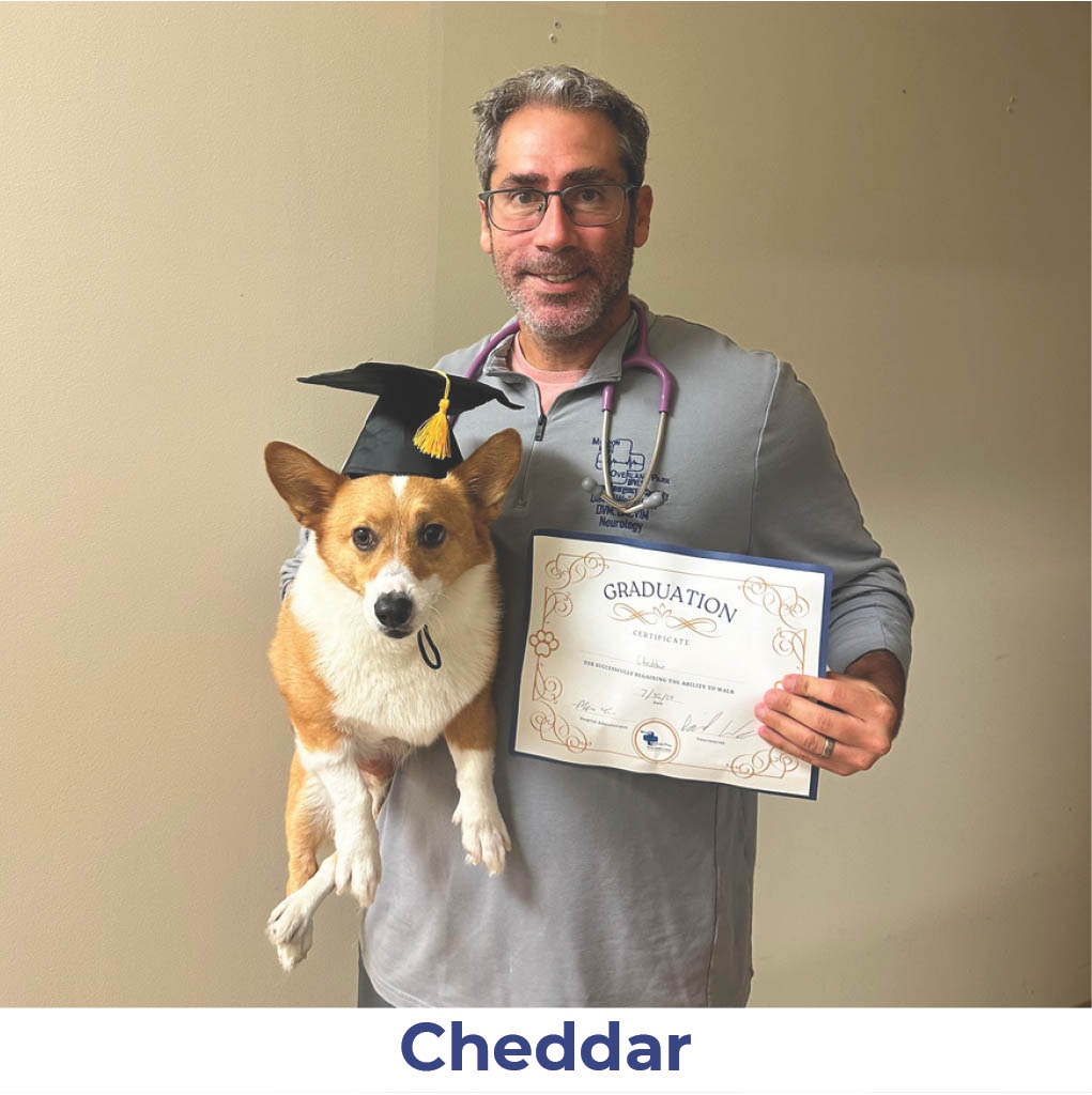 Cheddar the dog with Neurology Graduate Hall of Fame certificate