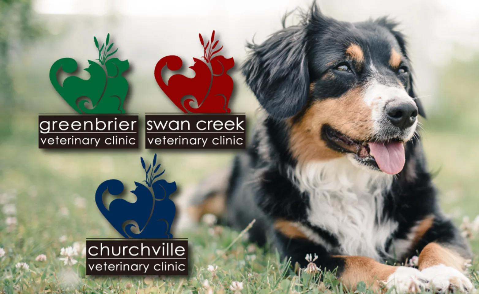 Greenbrier Veterinary Clinic sister clinics