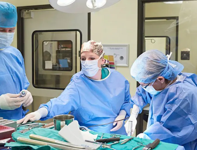 Three Veterinarians prepping for surgery Three Veterinarians prepping for surgery