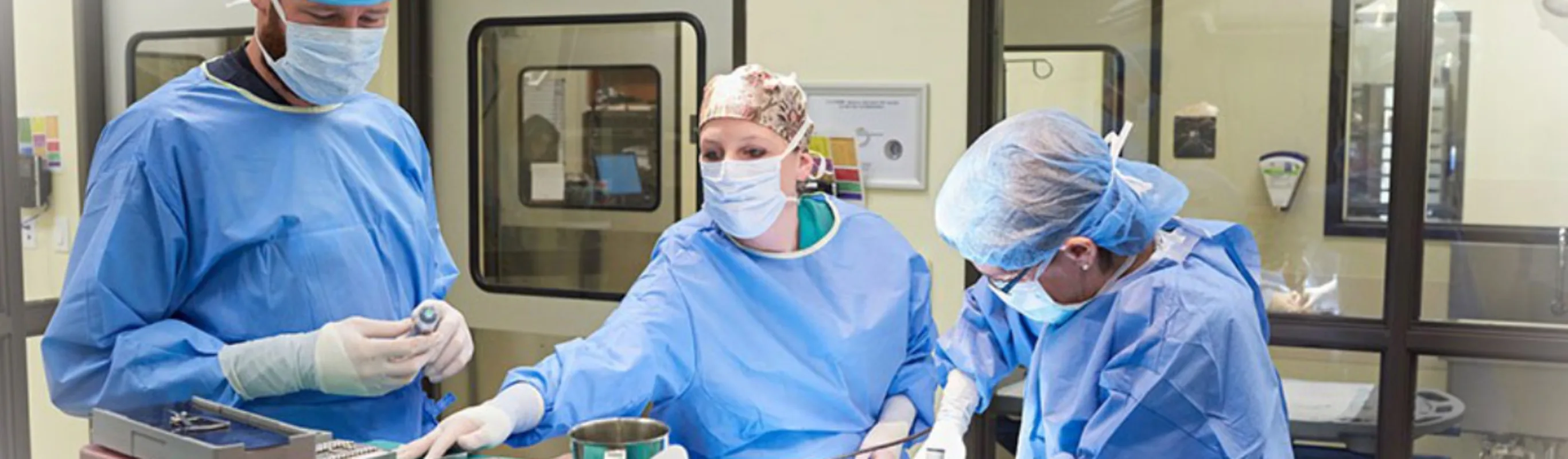 Three Veterinarians prepping for surgery Three Veterinarians prepping for surgery