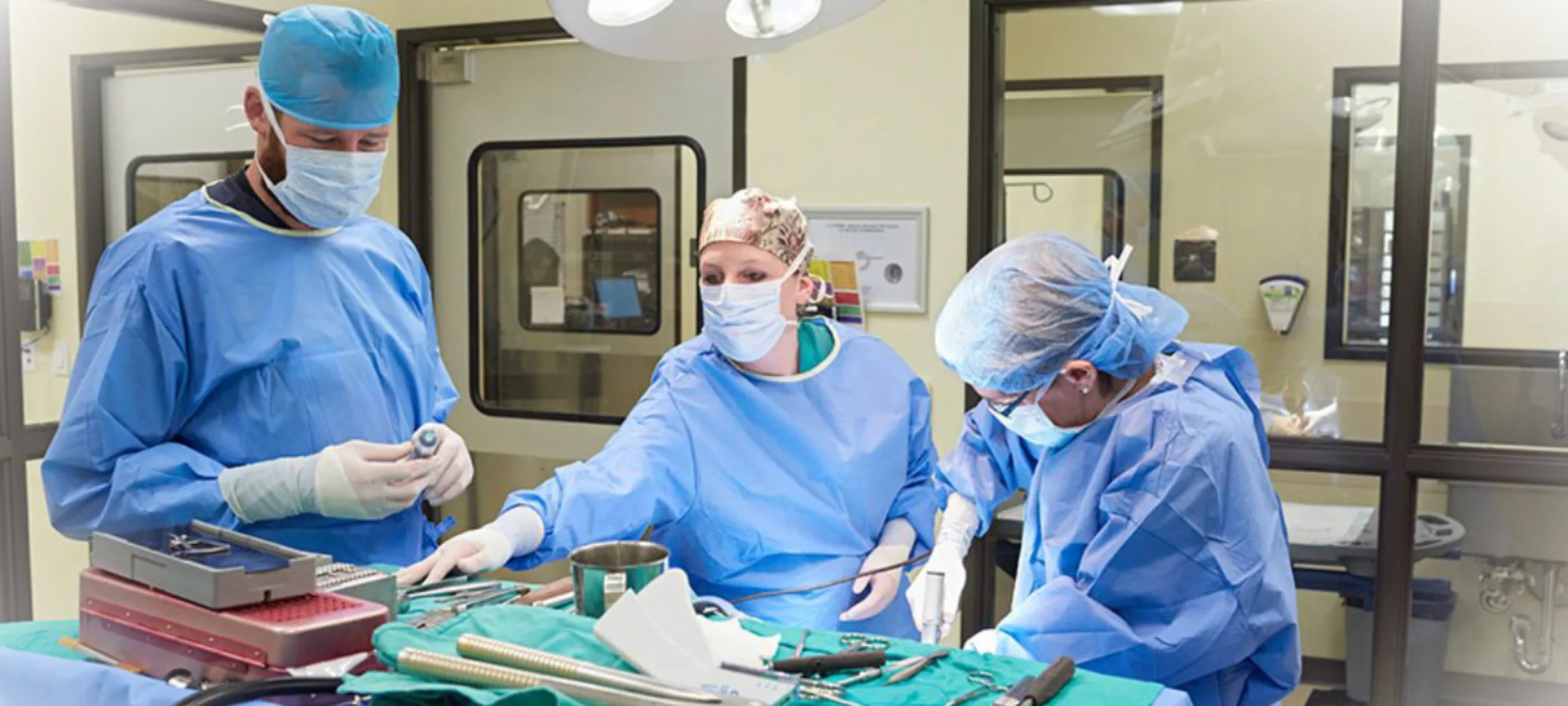 Three Veterinarians prepping for surgery