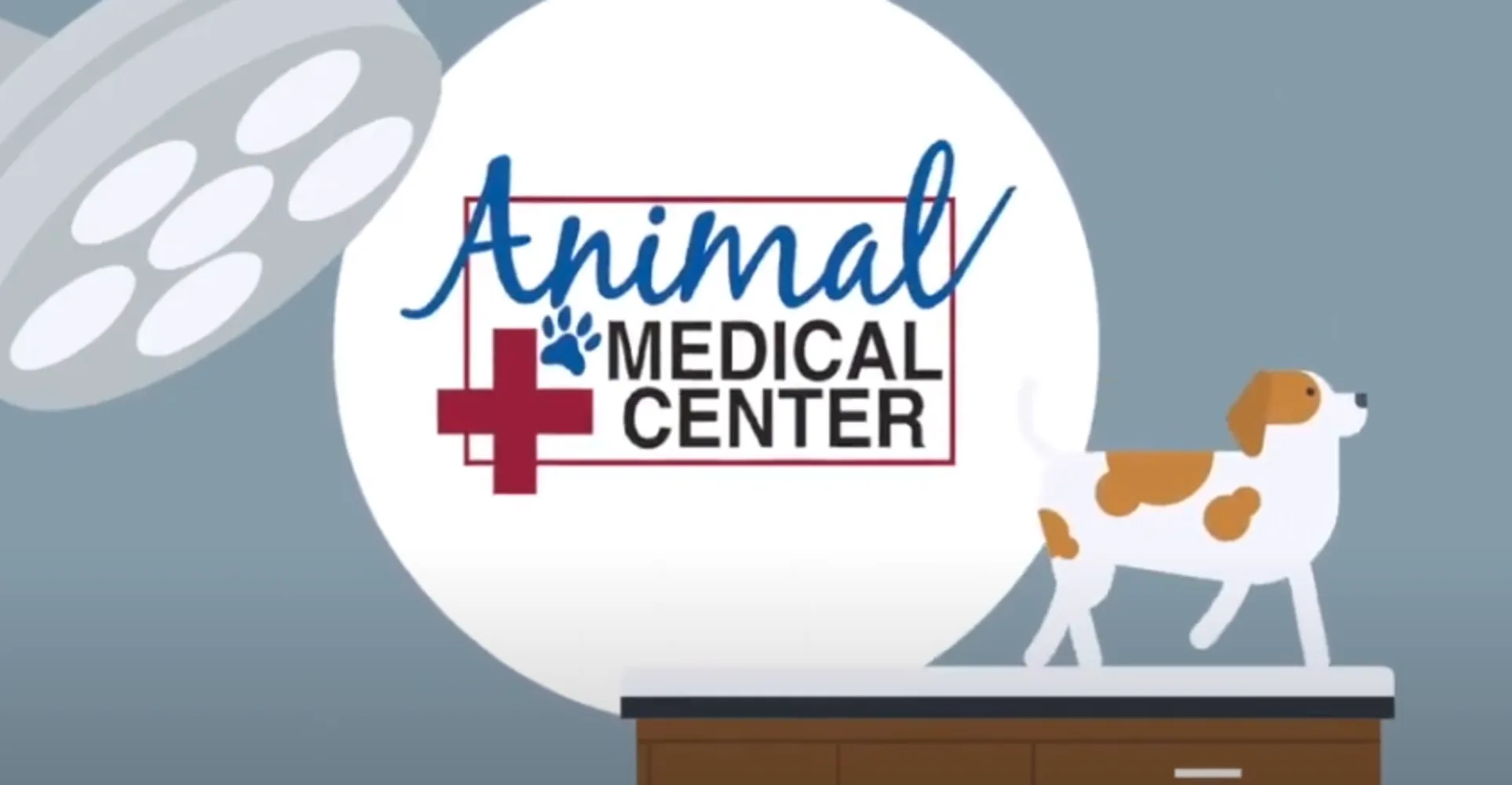 AMC logo and wordmark with animated dog on vet desk