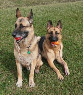 Adonis & Sensei Dorsett