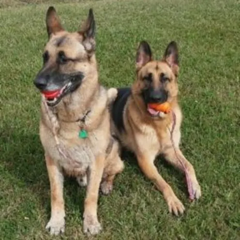 Adonis & Sensei Dorsett Adonis & Sensei Dorsett