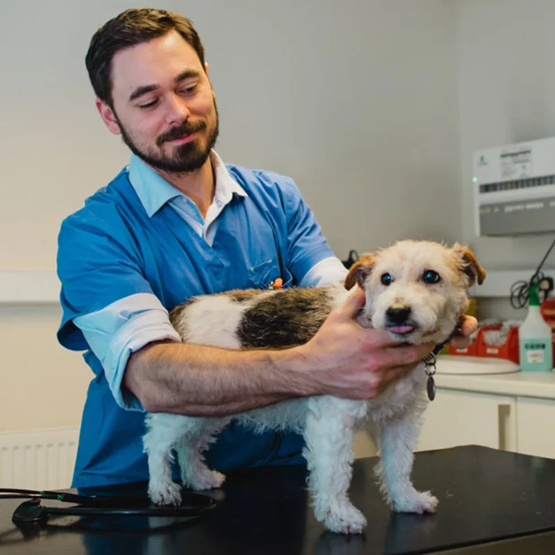 Dr. Owen Srour, DVM Dr. Owen Srour, DVM