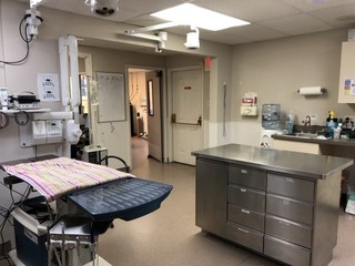 St. George Hunt Memorial Veterinary Hospital Dental