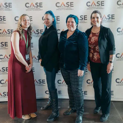 Summit-Avengers Team Summit-Avengers Team