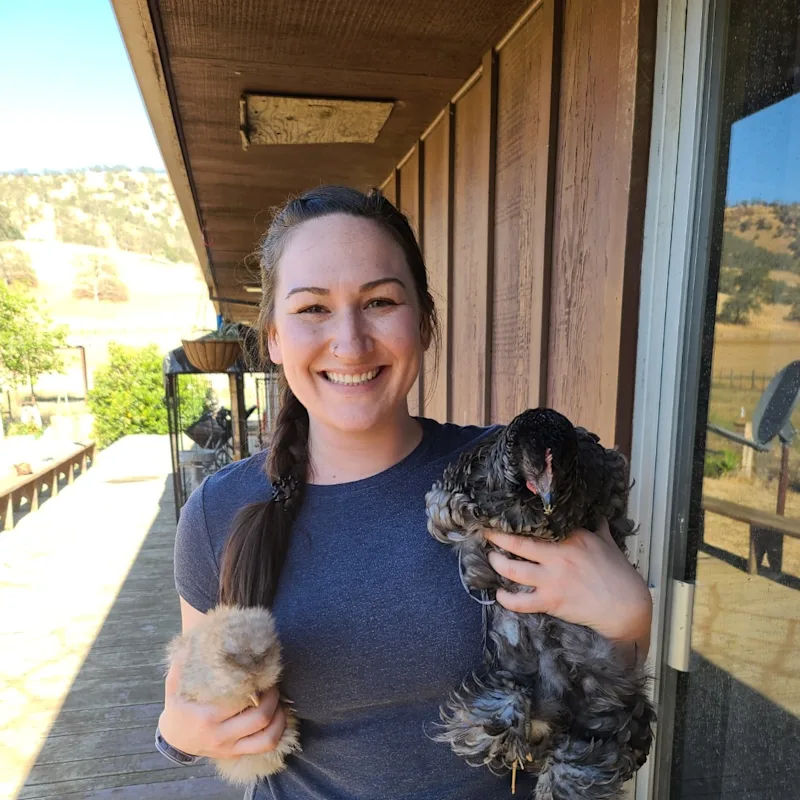 Shelby Springer Shelby Springer