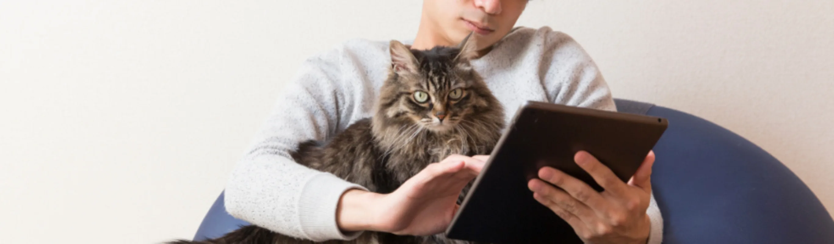 Man Holding Gray Cat While Using iPad Man Holding Gray Cat While Using iPad