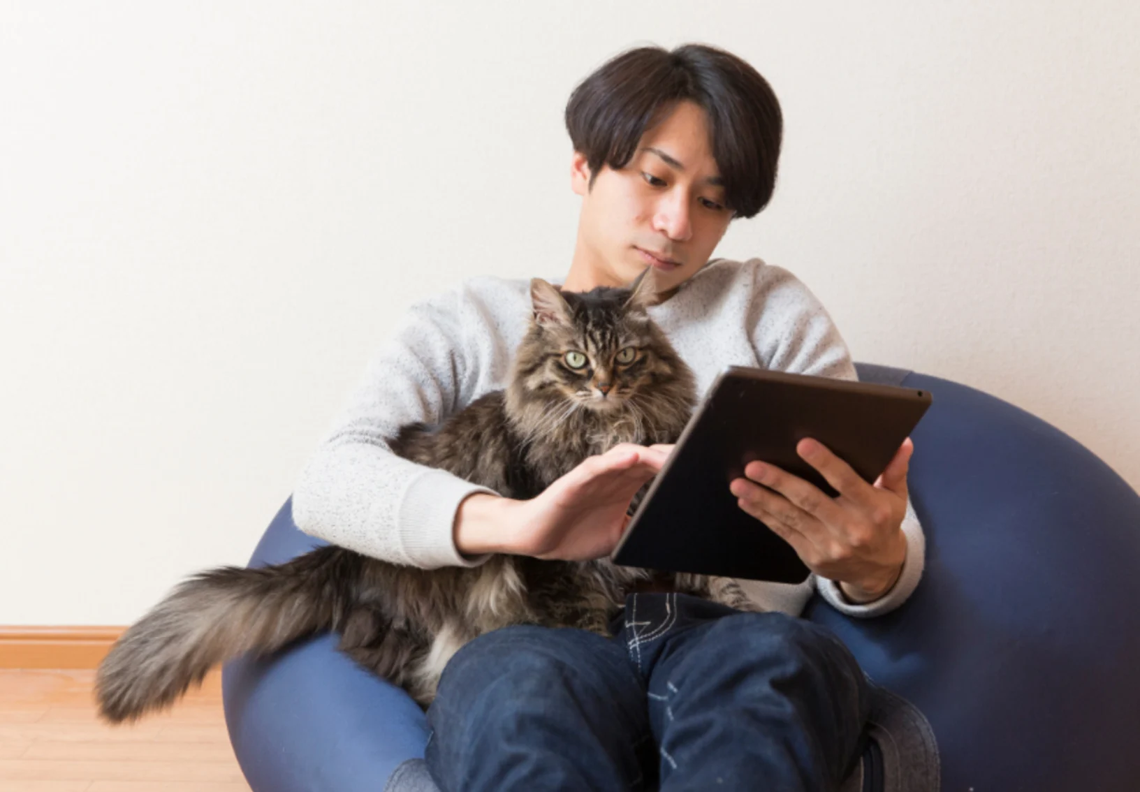 Man Holding Gray Cat While Using iPad
