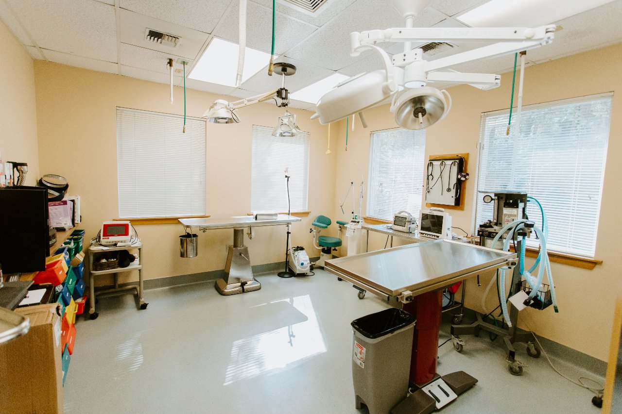 North Creek Pet Hospital Surgery Room