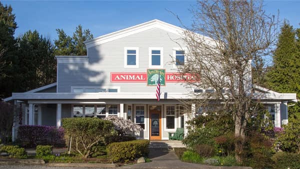Apple Tree Cove Animal Hospital Hospital Front