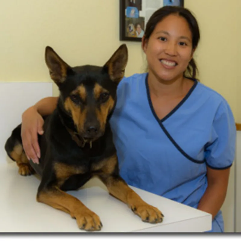 Dr. Alaine Hu Dr. Alaine Hu