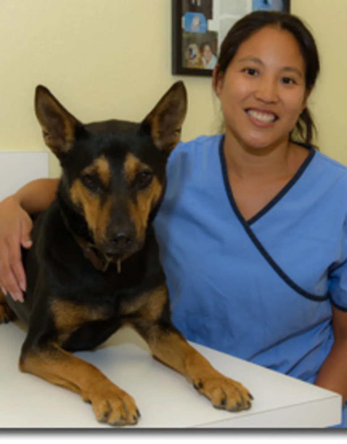Dr. Alaine Hu Dr. Alaine Hu