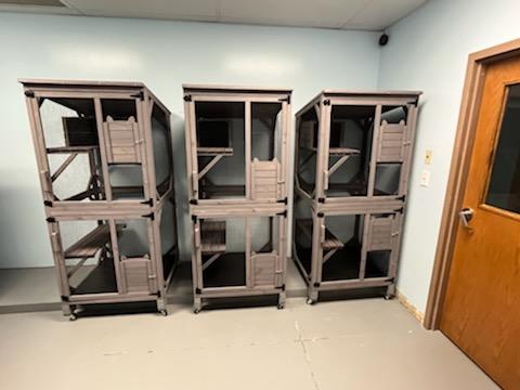 Three cat boarding towers