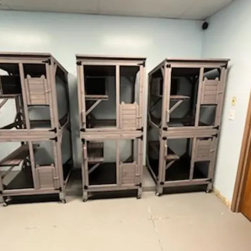 Three cat boarding towers Three cat boarding towers