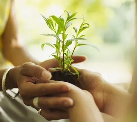 Environmental Commitment photo Environmental Commitment photo