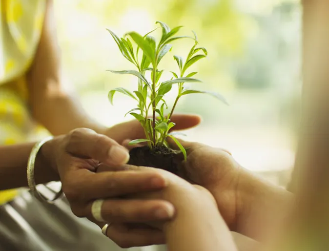 Environmental Commitment photo Environmental Commitment photo