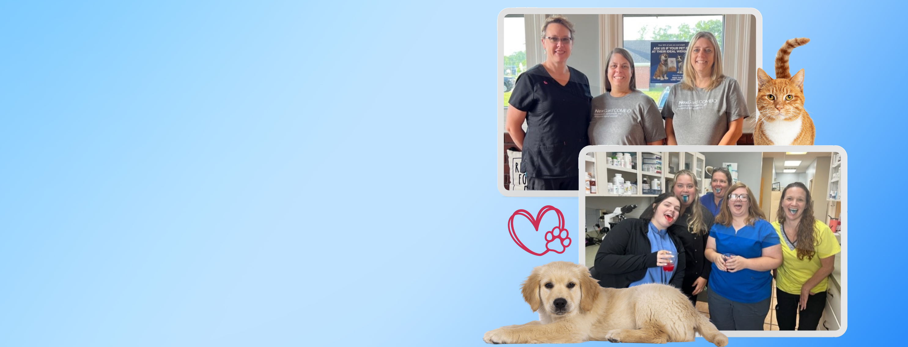 Animal Hospital in Robertsdale, AL Central Baldwin Veterinary Hospital