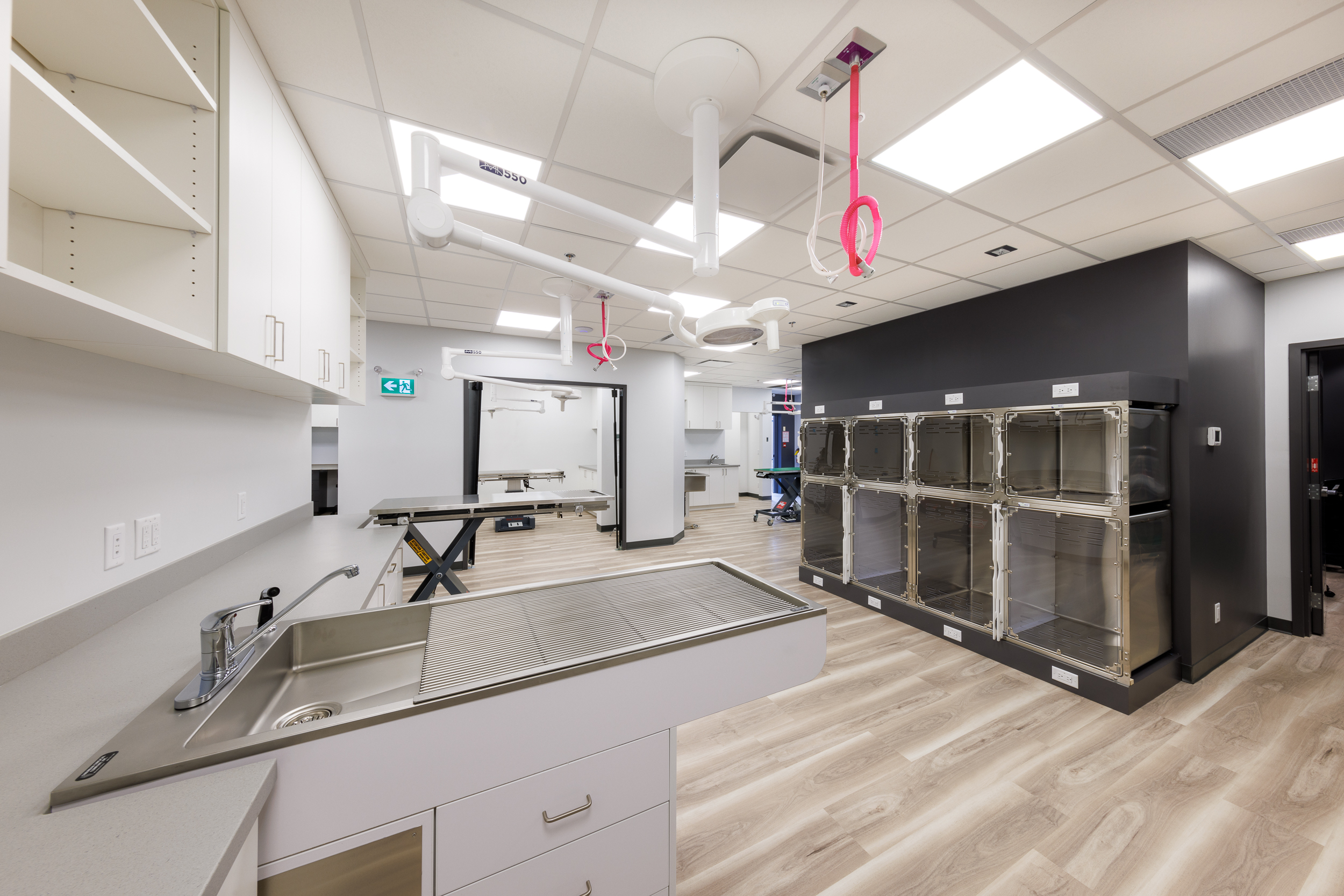 Treatment Area and Kennels at Westbank Animal Care Hospital