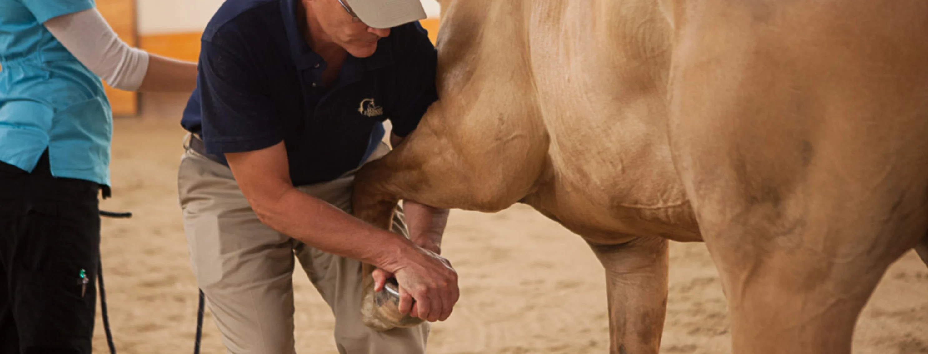 A veterinarian at Wisconsin Equine Clinic helping a horse