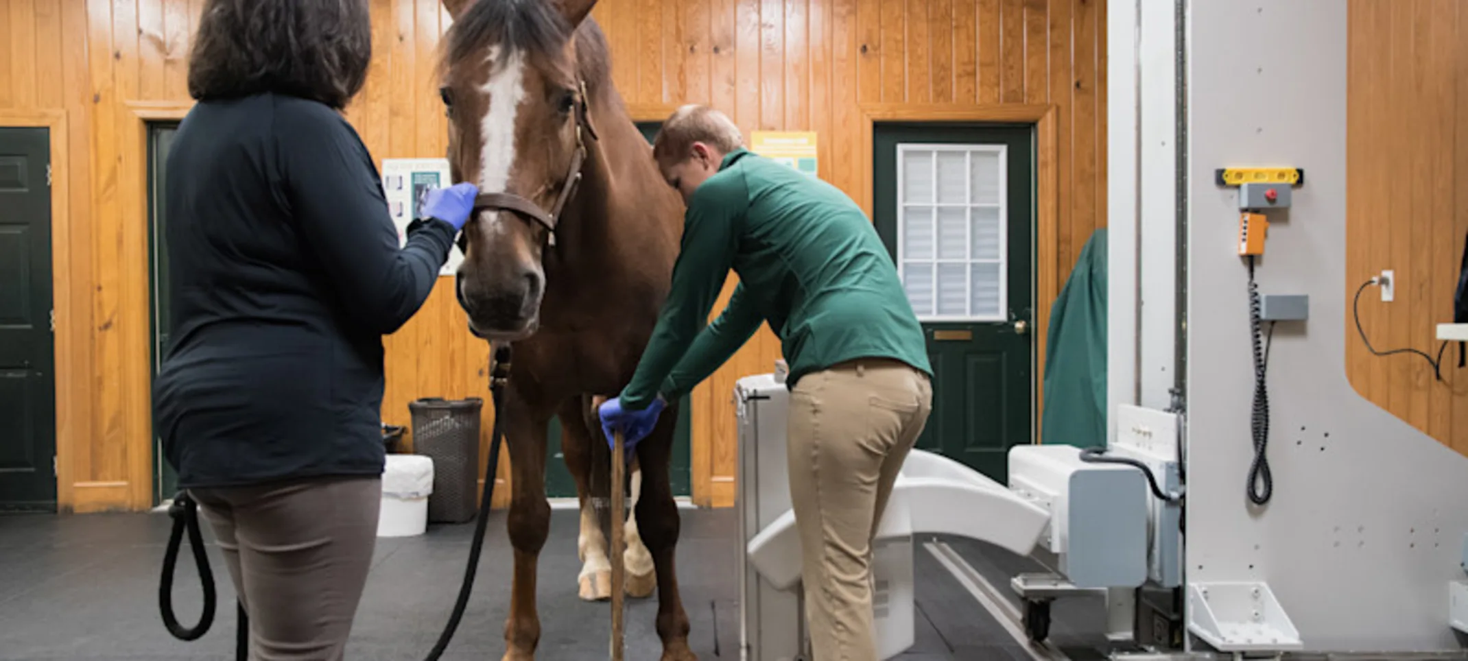 Equine Imaging Equipment Equine Imaging Equipment