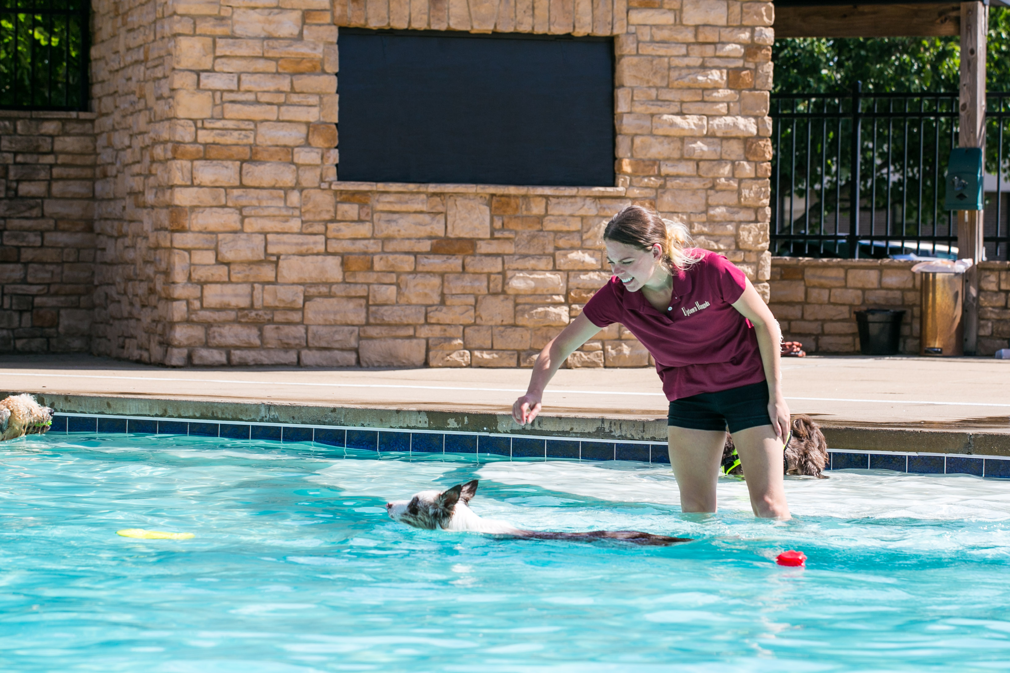 Uptown Hounds Swimming
