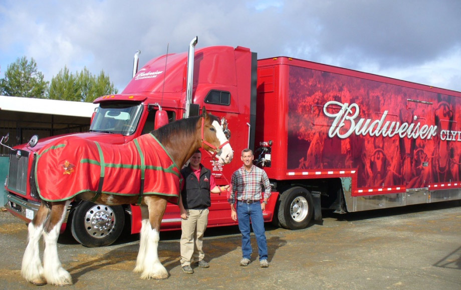 Dr. Browning standing next to budweiser truck with clydesdale