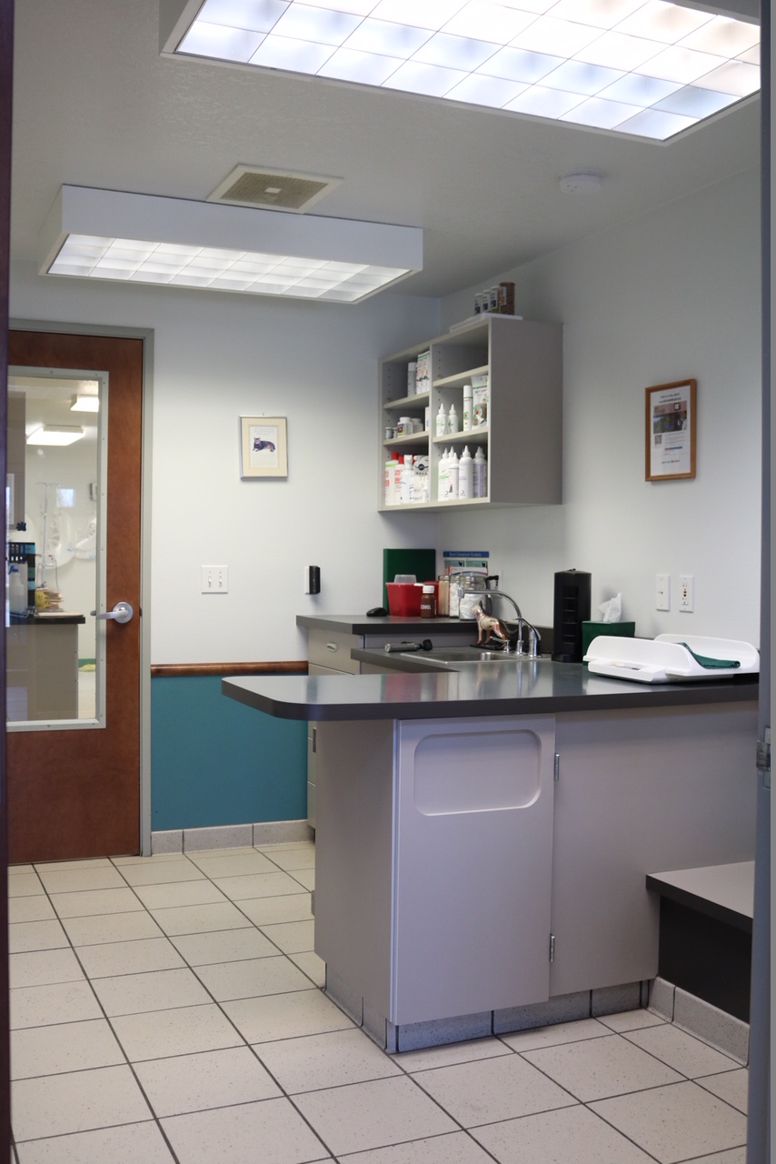  Soldotna Animal Hospital Exam Room