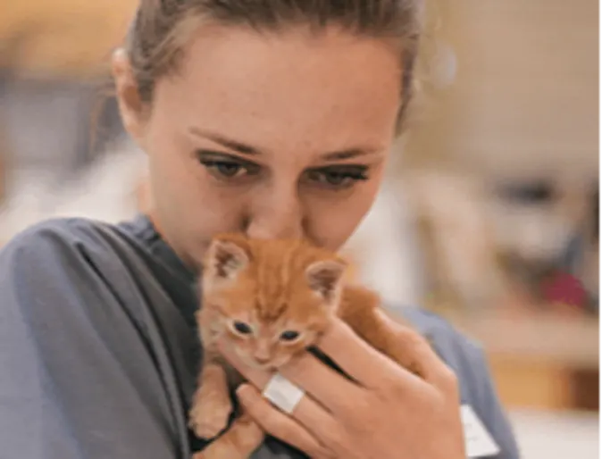 A veterinarian kissing a small kitten A veterinarian kissing a small kitten