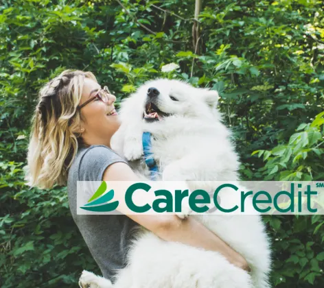 CareCredit logo with women and white fluffy dog