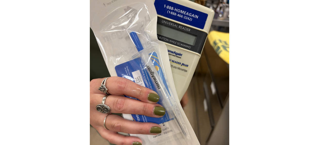Staff Showing Microchip Equipment