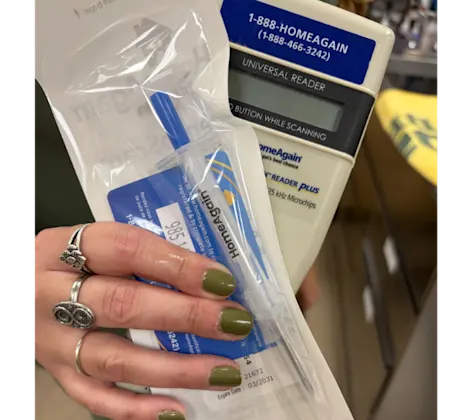 Staff Showing Microchip Equipment Staff Showing Microchip Equipment
