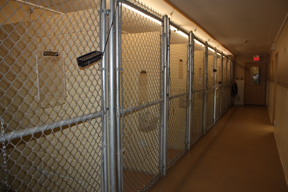 Westridge Animal Hospital Kennels