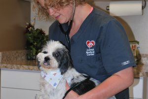 Animal Care Center of Polaris doctor and dog