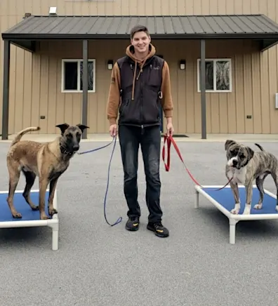 Cody, trainer at No Leash Needed, with two dogs