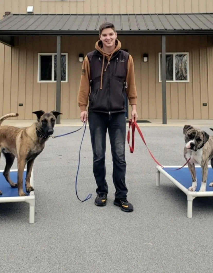 Cody, trainer at No Leash Needed, with two dogs