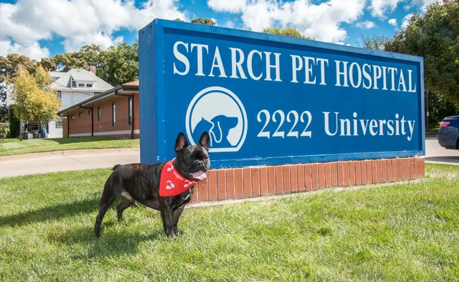 starch pet hospital 