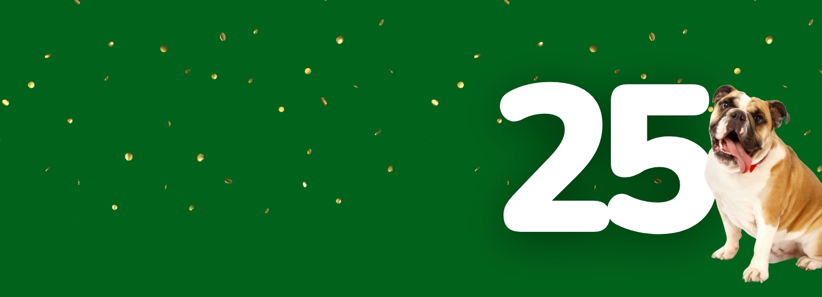 25th Anniversary Celebration at Rover Oaks