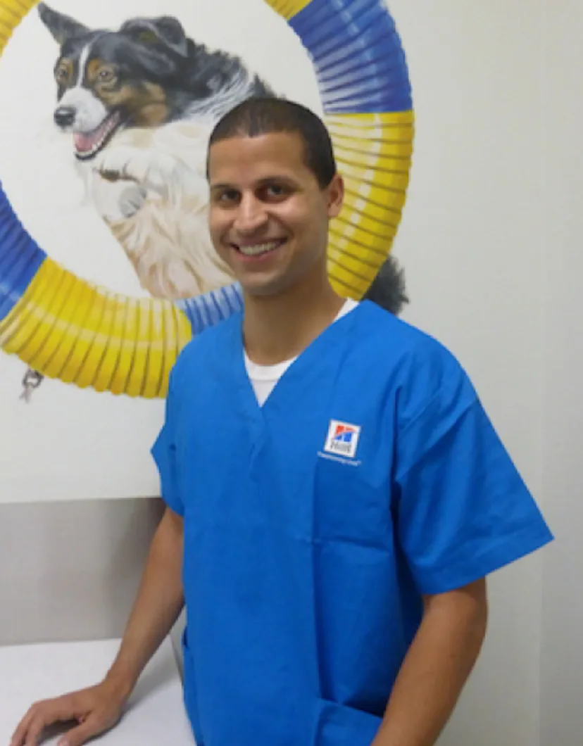 Jesse at Channel Islands Veterinary Hospital / Las Posas Veterinary Medical Center