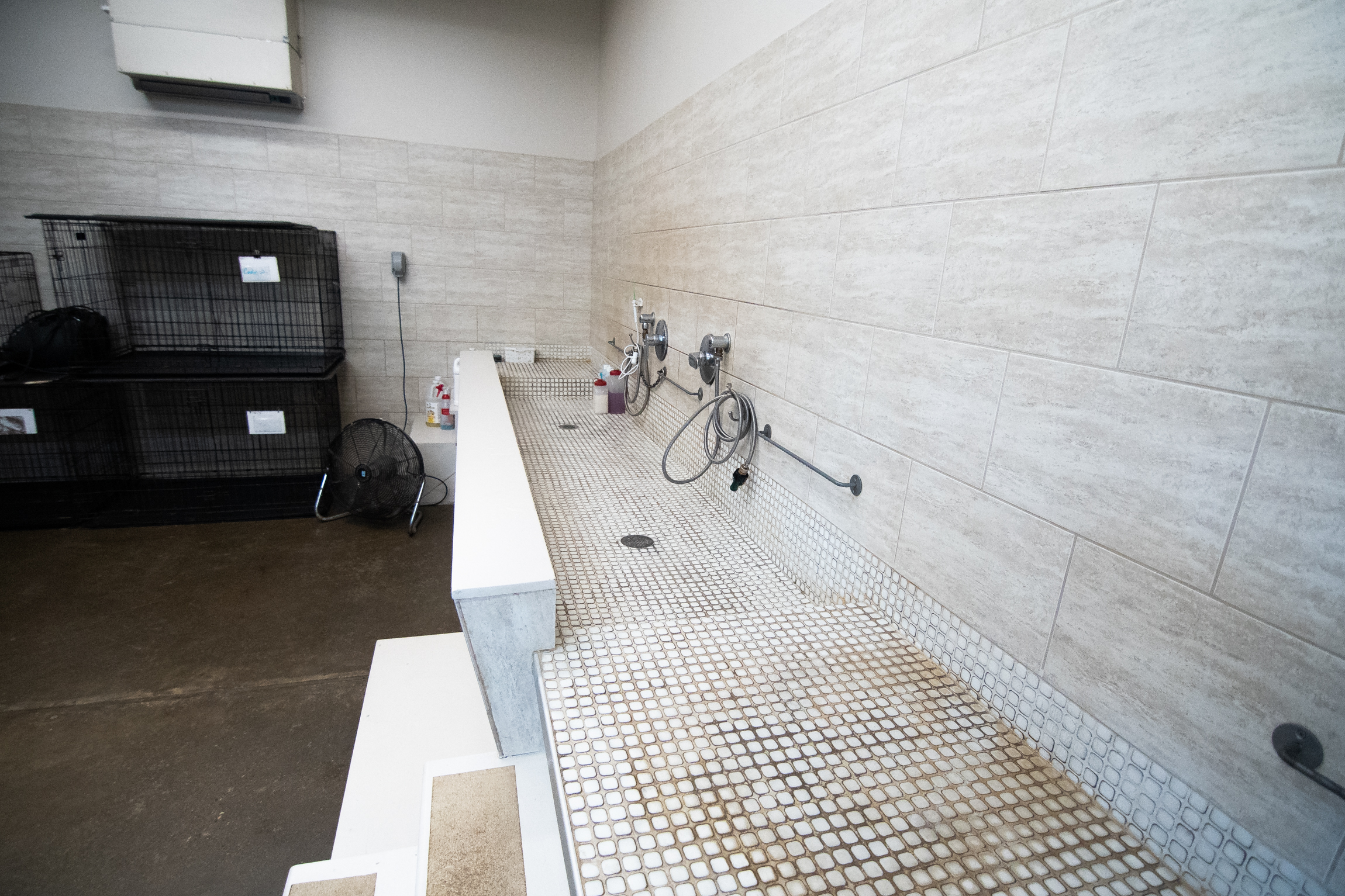 Breed Above Wash Station