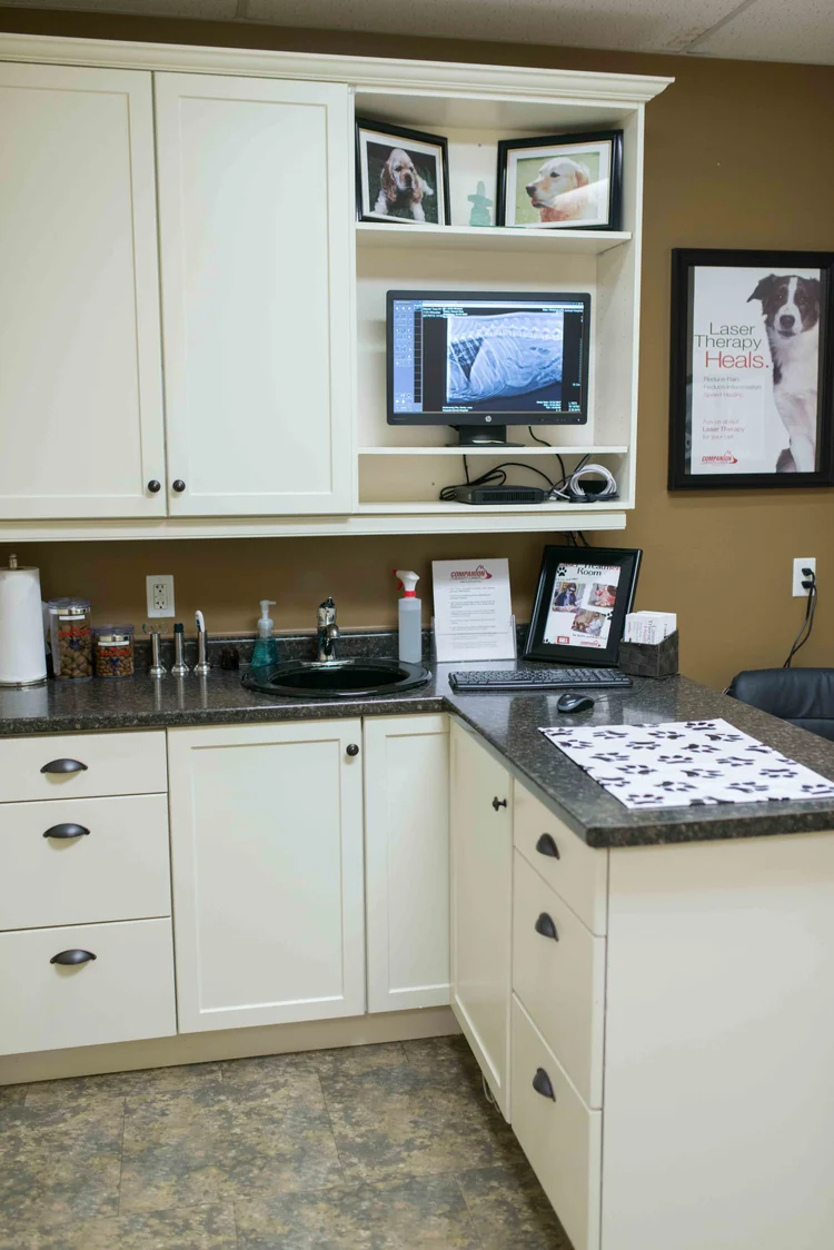Small Animal Examination Room