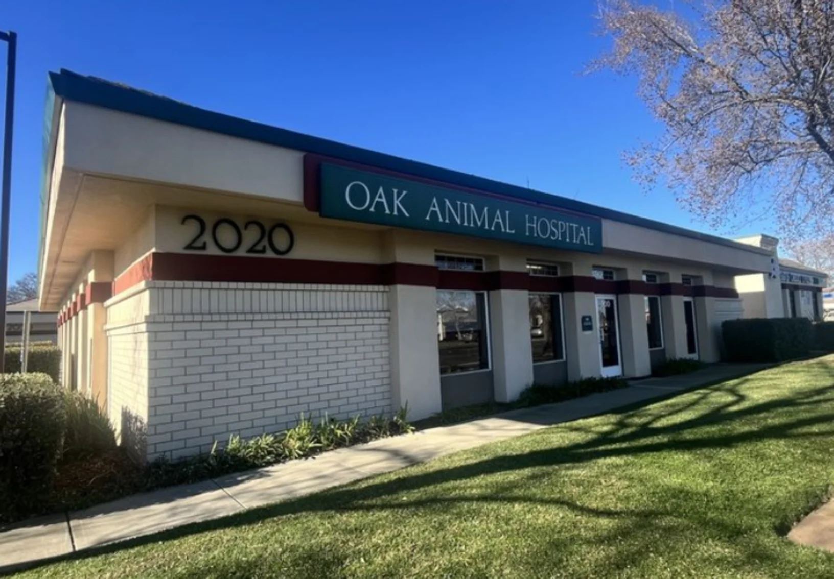 Oak Animal Hospital - Front of Exterior 2026 Oak Animal Hospital - Front of Exterior 2026