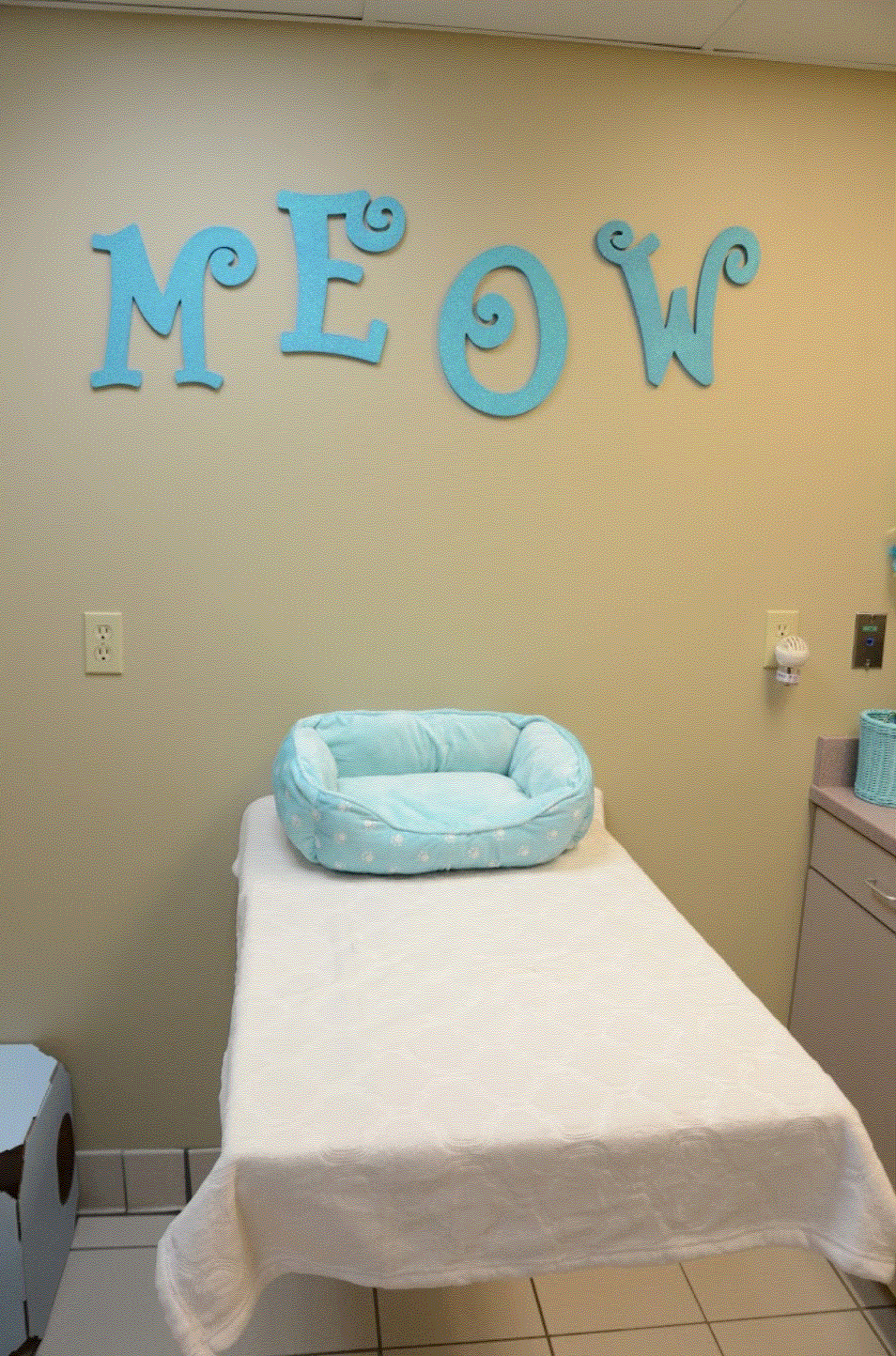 Peotone Animal Hospital - Exam Room 1 for cats that consist of a cat bed on an exam table 