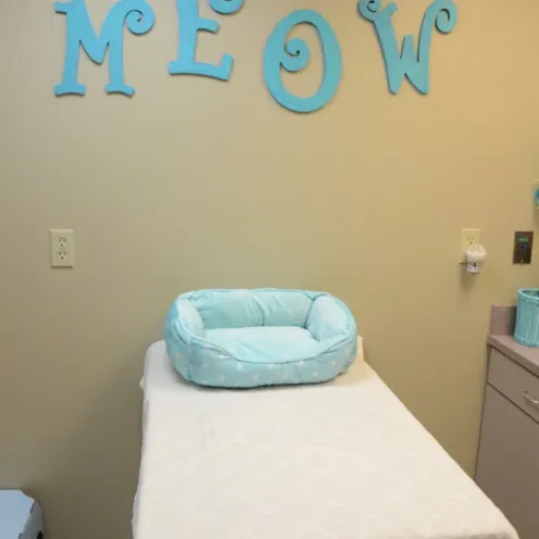 Peotone Animal Hospital - Exam Room 1 for cats that consist of a cat bed on an exam table 